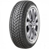 GT Radial GTRADIAL W-PRO2 guma